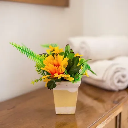 Marieta-giannis 3* Faliraki